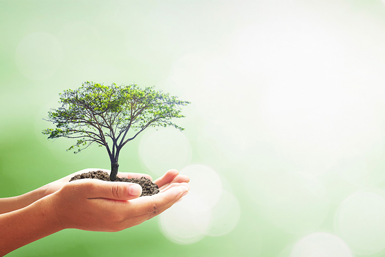 Directors Offices Liability Abacare